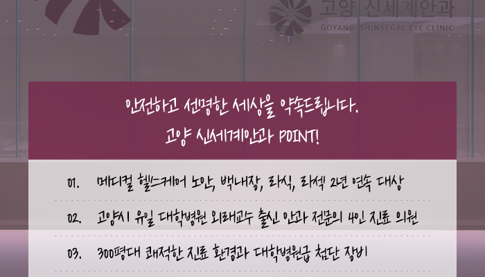 retinal detachment explained — Goyang Shinsegae Eye Clinic, Ilsan
